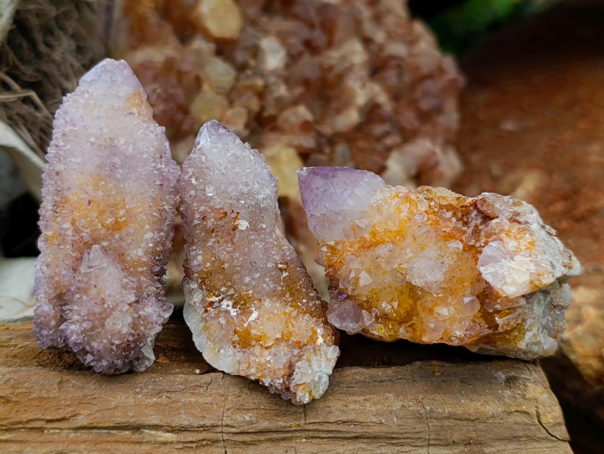Natural Ametrine Spirit Quartz Crystal Clusters x 12 From Boekenhouthoek, South Africa