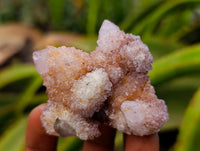 Natural Ametrine Spirit Quartz Crystal Clusters x 12 From Boekenhouthoek, South Africa