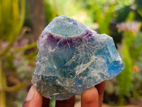Natural Watermelon Fluorite Cobbed Specimens x 28 From Uis, Namibia