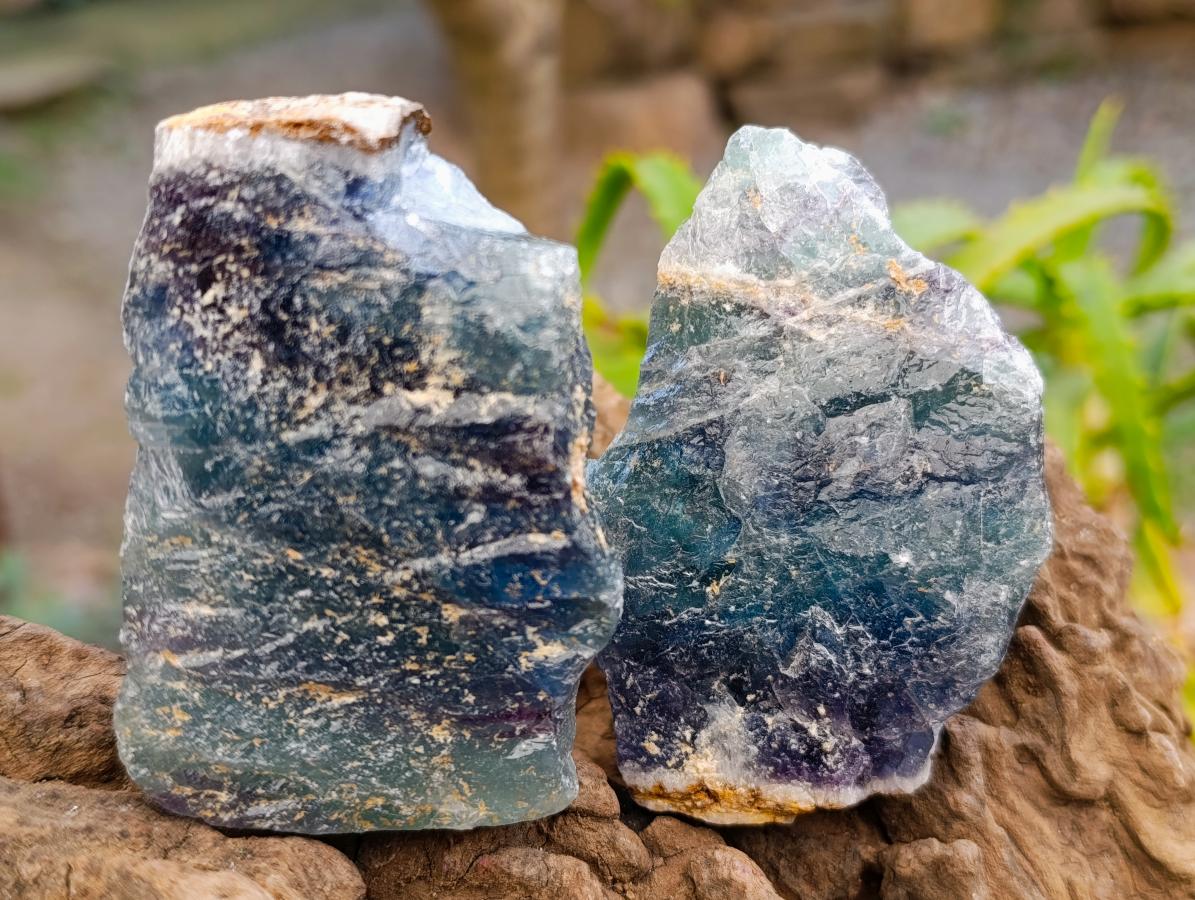 Natural Watermelon Fluorite Cobbed Specimens x 28 From Uis, Namibia