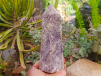Polished Lepidolite With Pink Rubellite Crystals x 2 From Ambatondrazaka, Madagascar