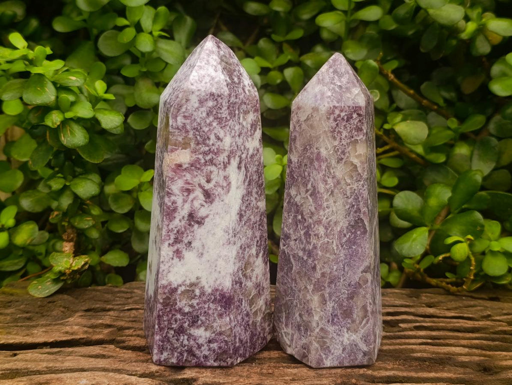 Polished Lepidolite With Pink Rubellite Crystals x 2 From Ambatondrazaka, Madagascar