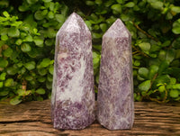 Polished Lepidolite With Pink Rubellite Crystals x 2 From Ambatondrazaka, Madagascar