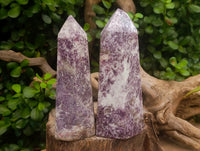 Polished Lepidolite With Pink Rubellite Crystals x 2 From Ambatondrazaka, Madagascar