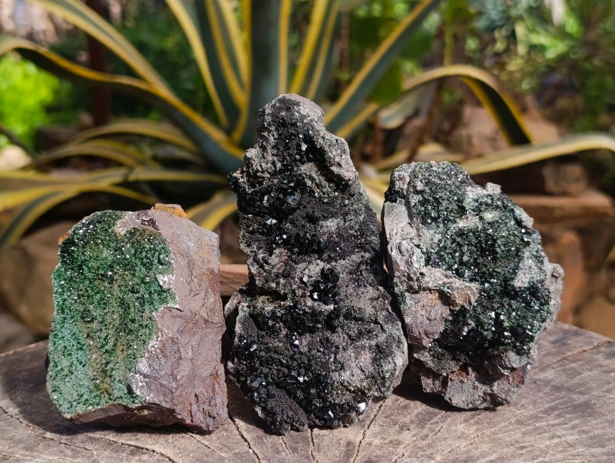 Natural Libethenite Crystals On Dolomite Matrix Specimens x 3 From Shituru, Congo