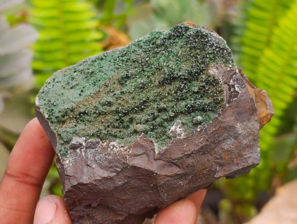 Natural Libethenite Crystals On Dolomite Matrix Specimens x 3 From Shituru, Congo