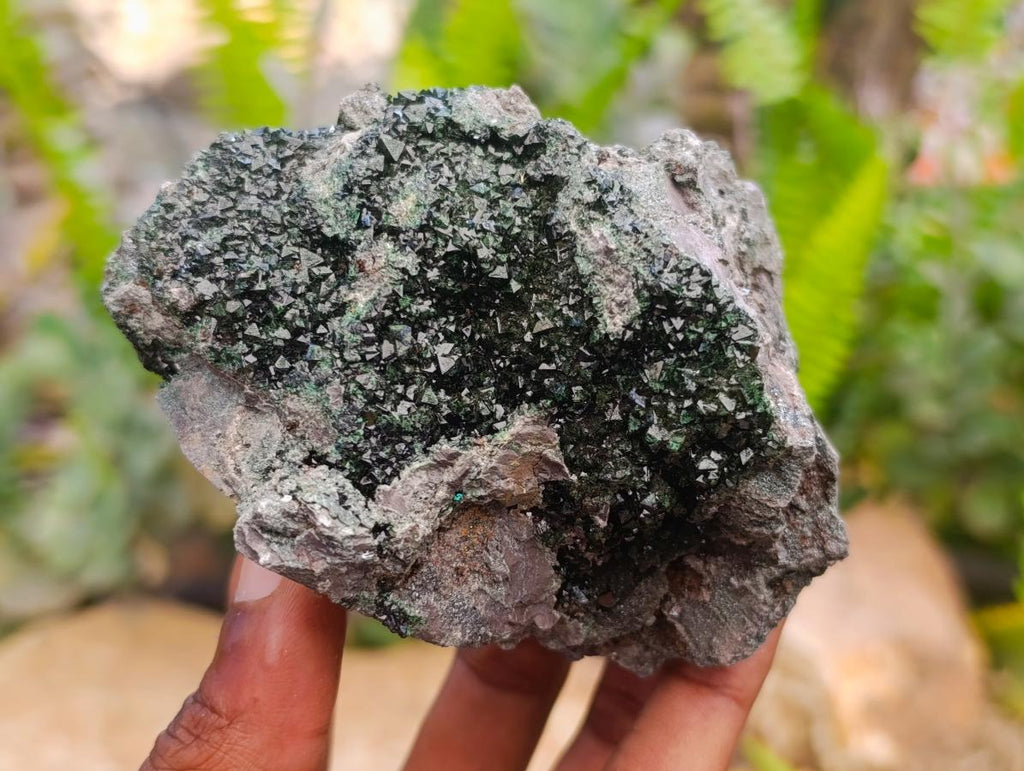 Natural Libethenite Crystals On Dolomite Matrix Specimens x 3 From Shituru, Congo