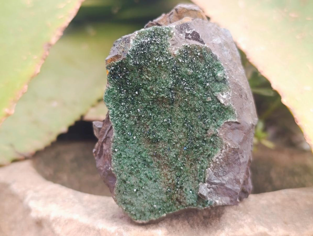 Natural Libethenite Crystals On Dolomite Matrix Specimens x 3 From Shituru, Congo