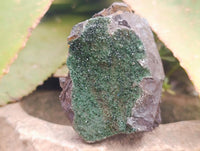 Natural Libethenite Crystals On Dolomite Matrix Specimens x 3 From Shituru, Congo