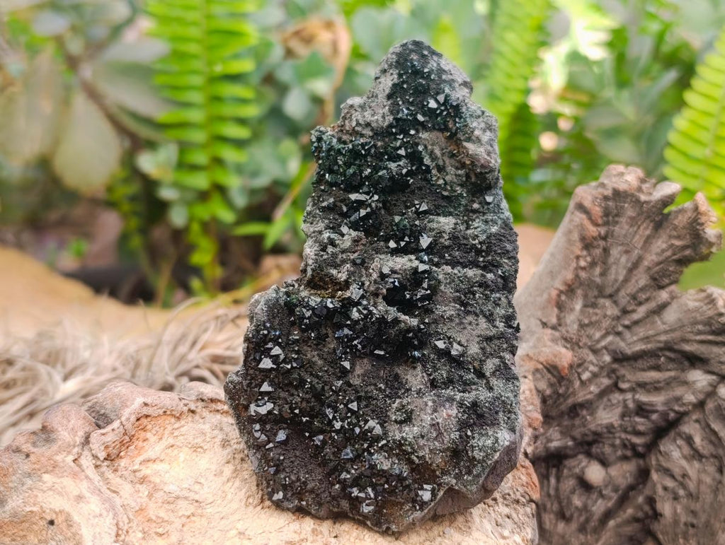 Natural Libethenite Crystals On Dolomite Matrix Specimens x 3 From Shituru, Congo