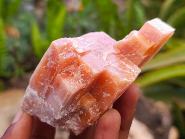 Natural Sunset Orange Calcite Specimens x 12 From Spitzkop, Namibia