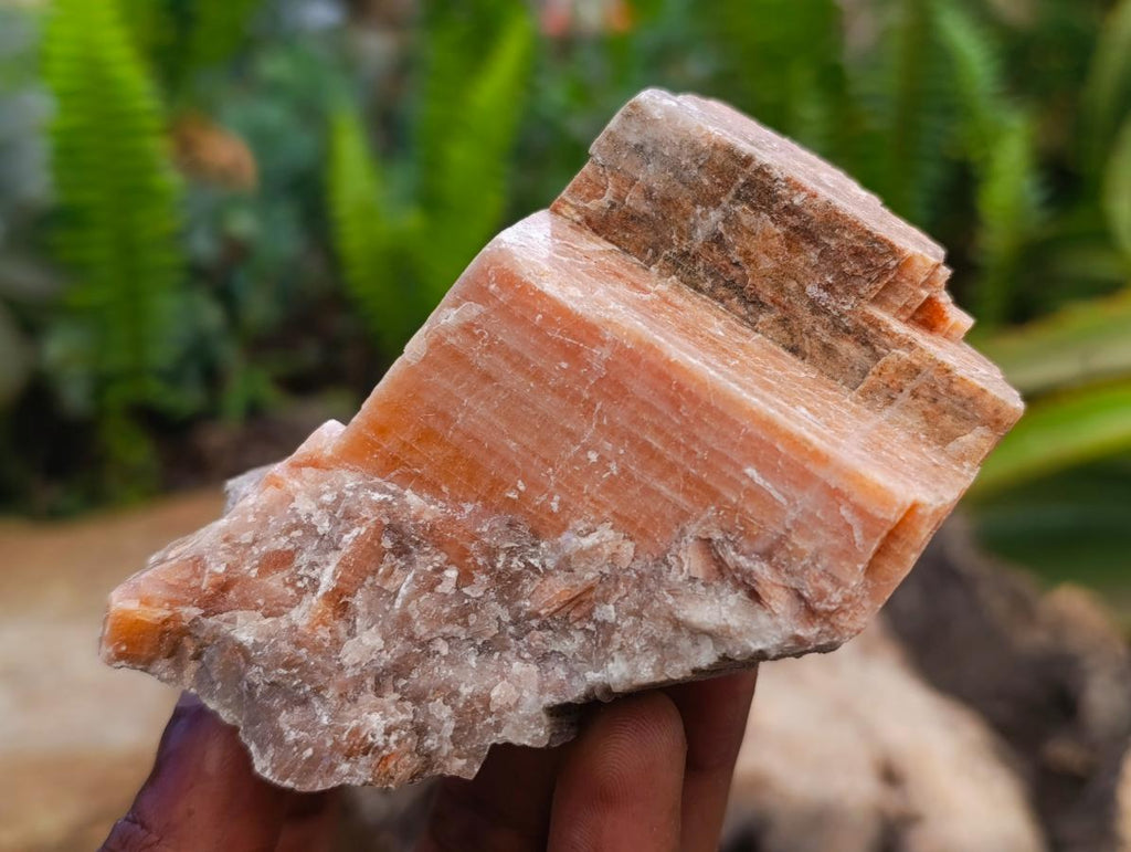 Natural Sunset Orange Calcite Specimens x 12 From Spitzkop, Namibia
