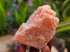 Natural Sunset Orange Calcite Specimens x 12 From Spitzkop, Namibia