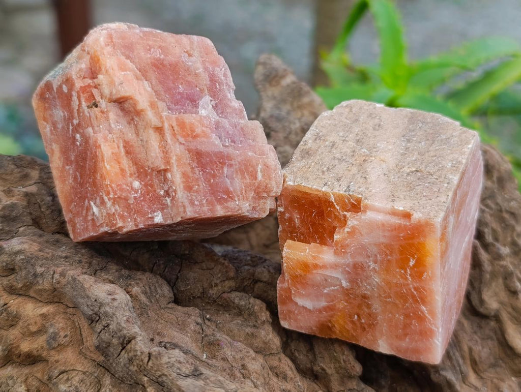 Natural Sunset Orange Calcite Specimens x 12 From Spitzkop, Namibia