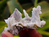 Natural Drusy Quartz Coated Black Tipped Calcite Pseudomorph Specimens x 38 From Albert's Mountain, Lesotho