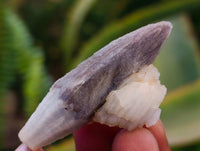 Natural Drusy Quartz Coated Black Tipped Calcite Pseudomorph Specimens x 38 From Albert's Mountain, Lesotho