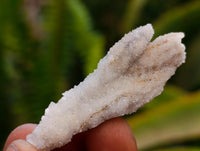 Natural Drusy Quartz Coated Black Tipped Calcite Pseudomorph Specimens x 38 From Albert's Mountain, Lesotho
