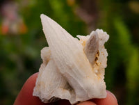 Natural Drusy Quartz Coated Black Tipped Calcite Pseudomorph Specimens x 38 From Albert's Mountain, Lesotho