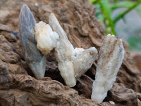 Natural Drusy Quartz Coated Black Tipped Calcite Pseudomorph Specimens x 38 From Albert's Mountain, Lesotho