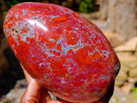 Polished Red Jasper Standing Free Form x 1 From Madagascar
