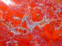 Polished Red Jasper Standing Free Form x 1 From Madagascar