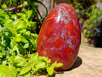 Polished Red Jasper Standing Free Form x 1 From Madagascar