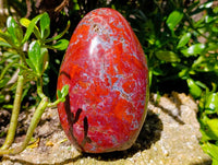 Polished Red Jasper Standing Free Form x 1 From Madagascar