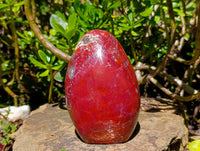 Polished Red Jasper Standing Free Form x 1 From Madagascar