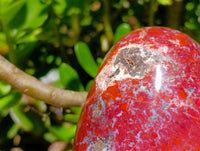 Polished Red Jasper Standing Free Form x 1 From Madagascar