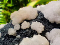 Natural Mix Of Multi Mineral Specimens x 13 From Southern Africa