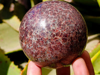 Polished Garnet Spheres x 2 From Mahajanga, Madagascar