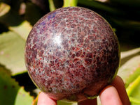 Polished Garnet Spheres x 2 From Mahajanga, Madagascar