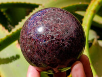 Polished Garnet Spheres x 2 From Mahajanga, Madagascar