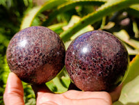 Polished Garnet Spheres x 2 From Mahajanga, Madagascar