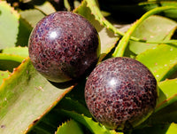 Polished Garnet Spheres x 2 From Mahajanga, Madagascar