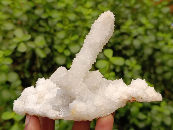 Natural Drusy Snow Finger Crystals x 4 From Albert's Mountain, Lesotho