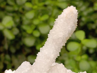 Natural Drusy Snow Finger Crystals x 4 From Albert's Mountain, Lesotho