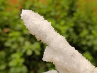 Natural Drusy Snow Finger Crystals x 4 From Albert's Mountain, Lesotho