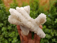 Natural Drusy Snow Finger Crystals x 4 From Albert's Mountain, Lesotho