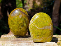 Polished Green Opal Standing Free Form x 6 From Betroka, Madagascar