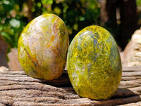 Polished Green Opal Standing Free Form x 6 From Betroka, Madagascar