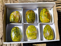 Polished Green Opal Standing Free Form x 6 From Betroka, Madagascar