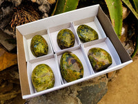 Polished Green Opal Standing Free Form x 6 From Betroka, Madagascar