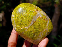 Polished Green Opal Standing Free Form x 6 From Betroka, Madagascar
