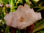 Natural Clear Tangerine Quartz Crystal Clusters x 6 From Madagascar