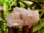 Natural Clear Tangerine Quartz Crystal Clusters x 6 From Madagascar