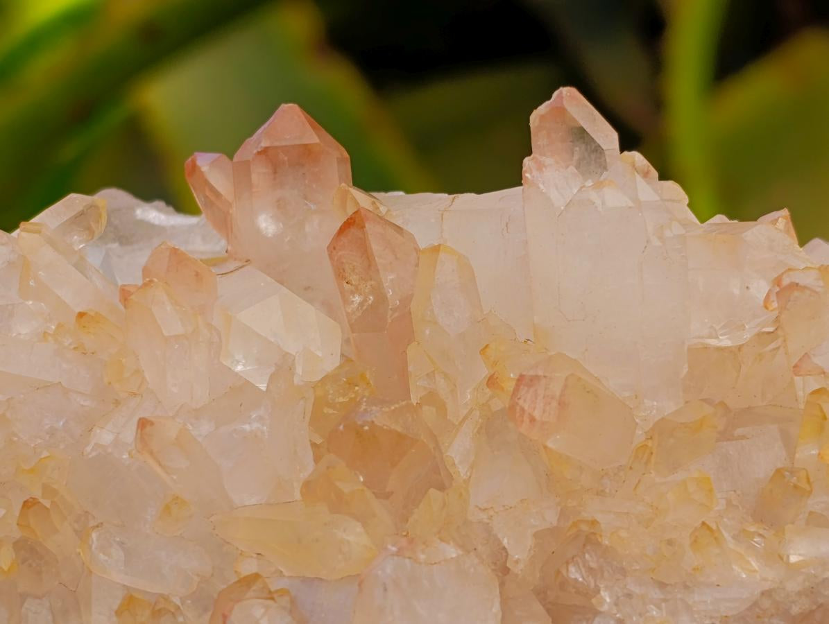 Natural Clear Tangerine Quartz Crystal Clusters x 6 From Madagascar