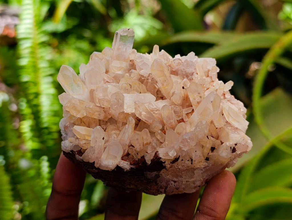 Natural Clear Tangerine Quartz Crystal Clusters x 6 From Madagascar