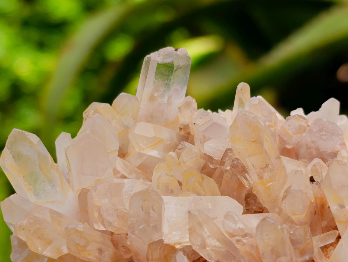 Natural Clear Tangerine Quartz Crystal Clusters x 6 From Madagascar