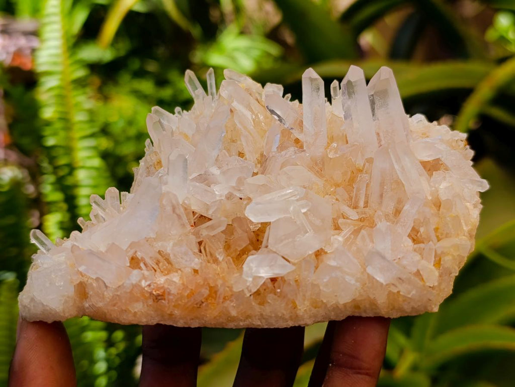 Natural Clear Tangerine Quartz Crystal Clusters x 6 From Madagascar